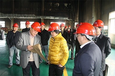 2012年1月31日，時任嘉興市委書記魯俊率領市發改委等市級部門負責人到公司調研
