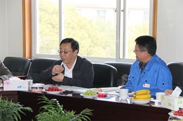 2013年3月18日，時任國家工信部節能司副司長楊鐵生一行蒞臨公司參觀指導